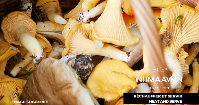 Ragoût de champignons sauvages déshydratés