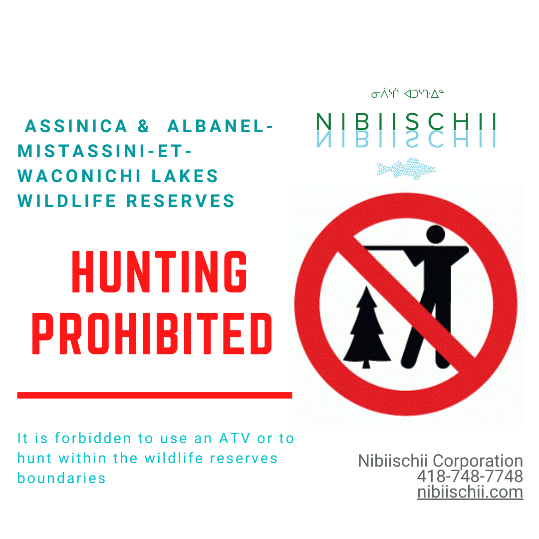 Hunting prohibited